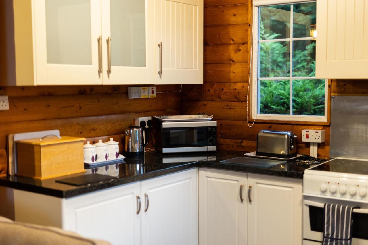 Mountain View Log Cabin In Snowdonia Nr Coed Y Brenin Tanygrisiau Exterior photo